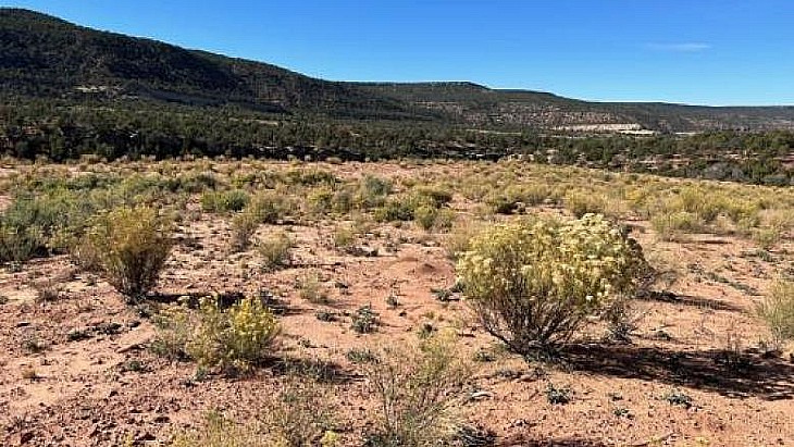 The US Department of the <a href="/Interior/">US Department of the Interior</a> has approved <a href="/Anfield_Energy/">Anfield Energy Inc.</a>'s Velvet-Wood #uranium-vanadium project in San Juan County, Utah, after the Bureau of Land Management completed its review of the project in less than 14 days #nuclear tinyurl.com/bd5c9tkx