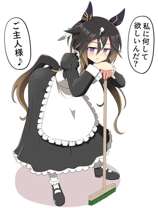 メイドステゴ 