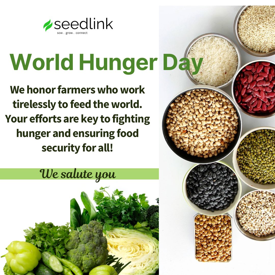 seedlinkZA's tweet photo. On #WorldHungerDay, we honor farmers who work tirelessly to feed the world. Your efforts are key to fighting hunger and ensuring food security for all. Let's support sustainable agriculture and solutions to end hunger!
#FoodSecurity #ZeroHunger #agriculture https://t.co/pe4EqoGZNE