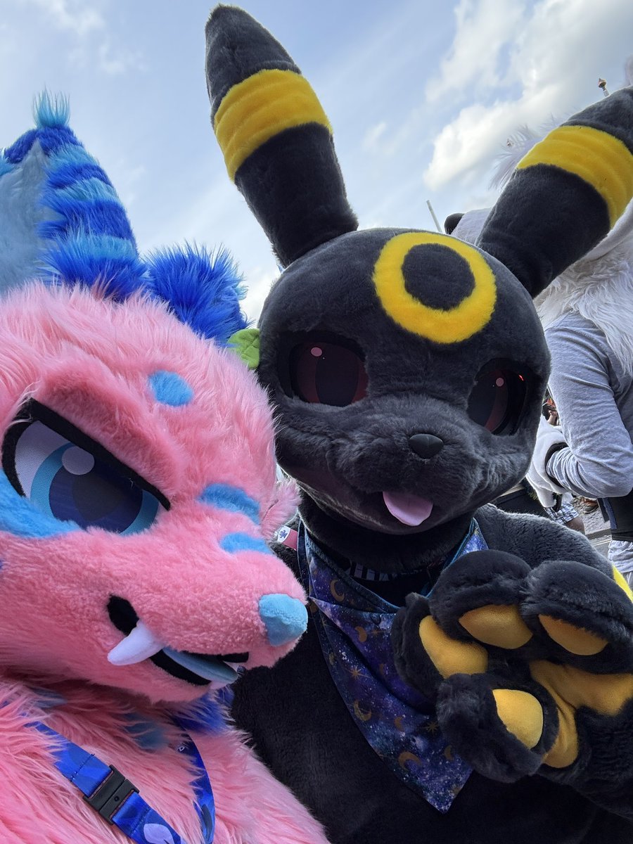 salem 🦴 🔜 Griffish Isles tweet media