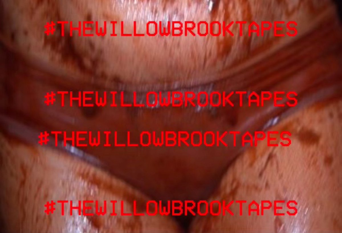Is it the 31st yet????????????
#thewillowbrooktapes