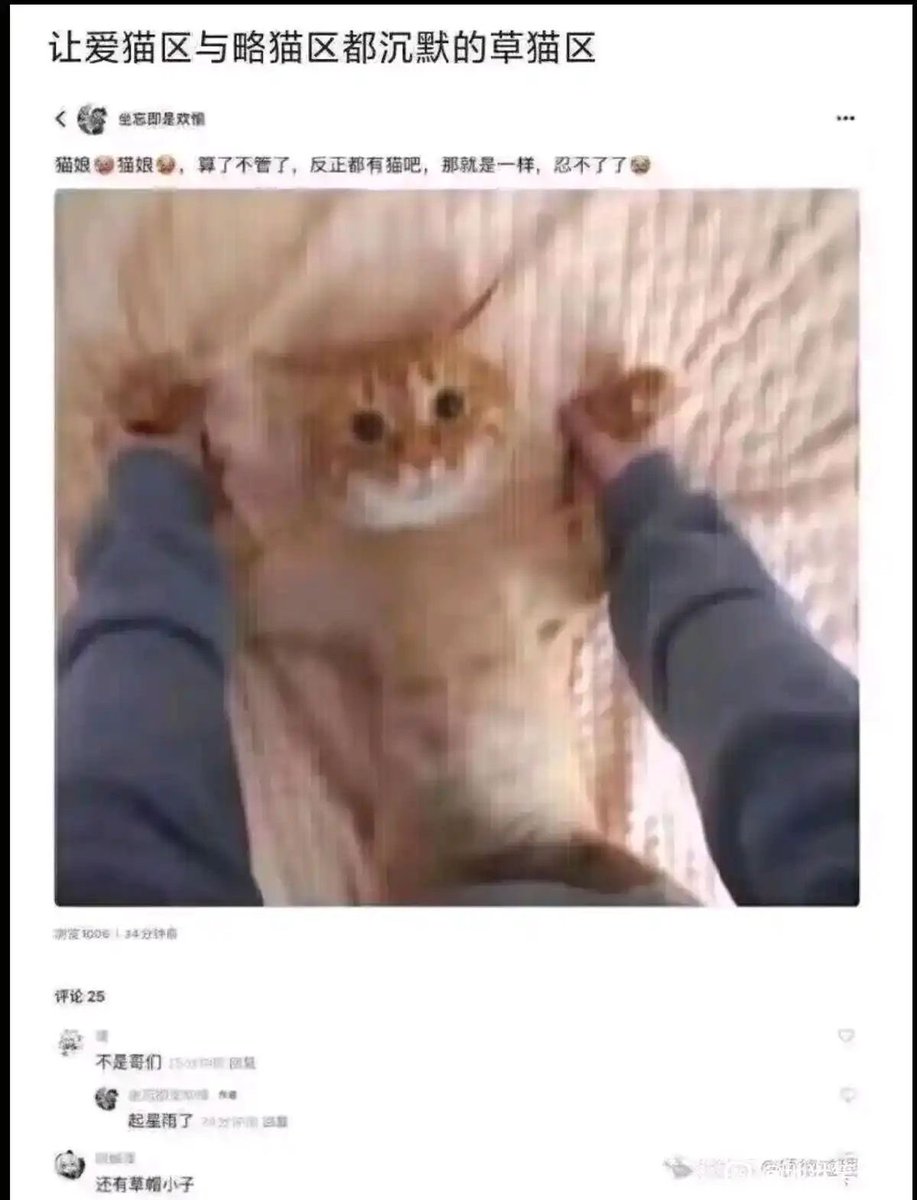 雲鳩 (@cldeop) on Twitter photo 