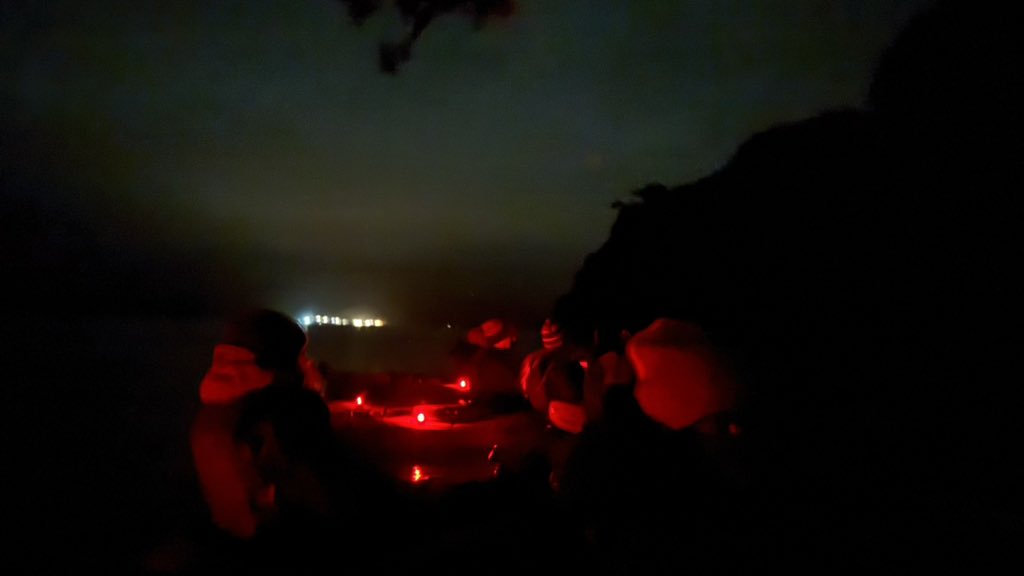 let’s kayak out to the bioluminescent algae, she said.
it’ll be fun, she said.
lies. https://t.c
