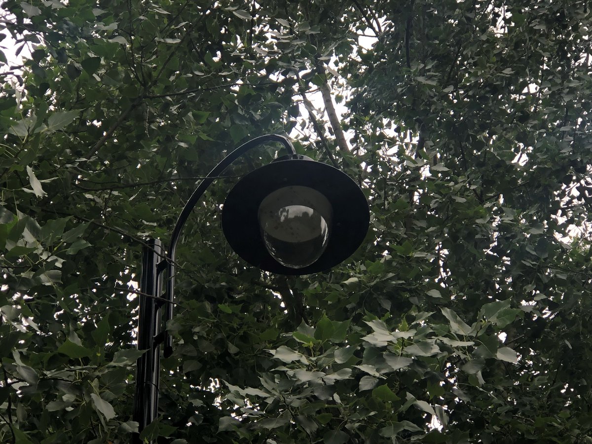 Haringey Council (@haringeycouncil) on Twitter photo We've installed overhead lighting at the #ManorHouse entrance/exit to #FinsburyPark to improve safety for park users, residents & visitors.
Cabinet Members <a href="/ekarkell/">Emily Arkell 🌈</a> & <a href="/ajdao/">Ajda Ovat</a>, as well as #Harringay Cllr <a href="/AnnaAbela/">Anna Abela</a>, have been to see the 8⃣ new posts funded by Major Events income! We've installed overhead lighting at the #ManorHouse entrance/exit to #FinsburyPark to improve safety for park users, residents & visitors.
Cabinet Members <a href="/ekarkell/">Emily Arkell 🌈</a> & <a href="/ajdao/">Ajda Ovat</a>, as well as #Harringay Cllr <a href="/AnnaAbela/">Anna Abela</a>, have been to see the 8⃣ new posts funded by Major Events income!