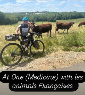 Humanimal Trust tweet media