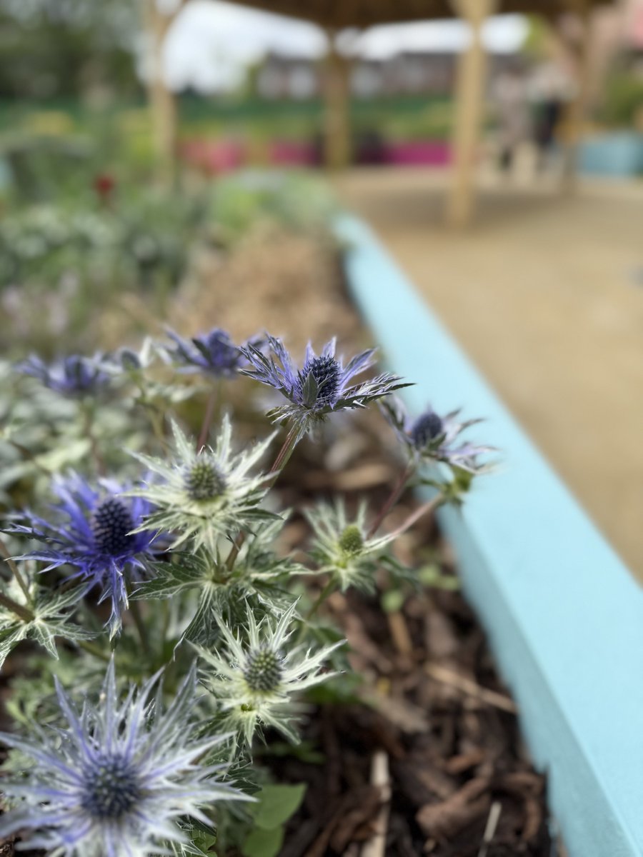 Emma Foody MP tweet media