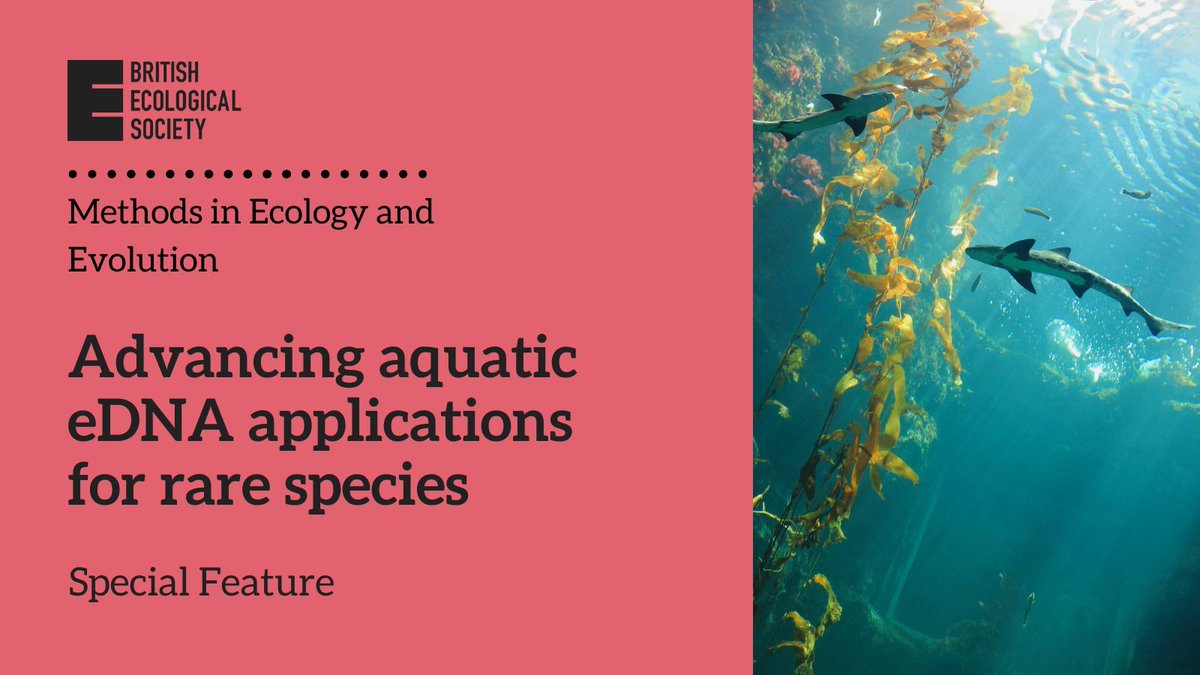 🚨Our latest special feature is open to proposals until the 29th June!

💡This feature aims to highlight recent technological advances that address some of the challenges unique to sampling rare species using eDNA 

👉Find out more and submit a proposal: buff.ly/k3hxZ3H