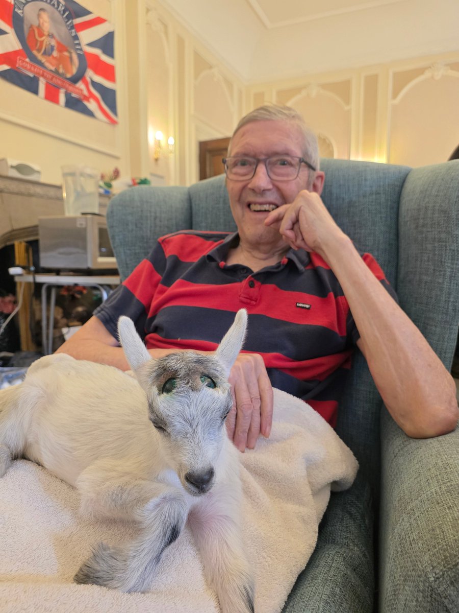 thermbi's tweet image. Itβs not every day you welcome a herd of tiny, four-legged visitors... but that's what residents have done at Prince Edward Duke of Kent Court, our care home in #Braintree, #Essex! π
π Find out more about their friendly companions here: bit.ly/4mzvCLt