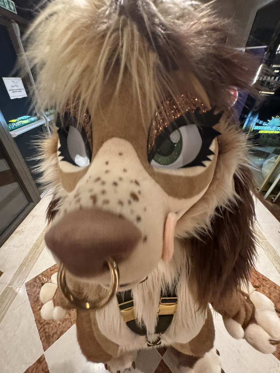 Aster 𐂂 ✮⋆˙ 🔜 CFz, Megaplex (@aster_fallow) on Twitter photo IF ANYONE TOOK ANY PICS OF ME PLS SEND!!
My telegram is the same @ 🫡
#confuzzled2025 #cfz2025 #confuzzled #cfz25 IF ANYONE TOOK ANY PICS OF ME PLS SEND!!
My telegram is the same @ 🫡
#confuzzled2025 #cfz2025 #confuzzled #cfz25