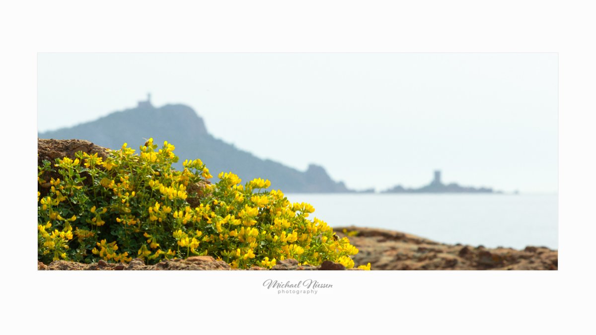 MNiessenPhoto's tweet photo. Happy hump day 🌞

#ThePhotoHour #photooftheday #landsccapephotography https://t.co/p7YambeK8s