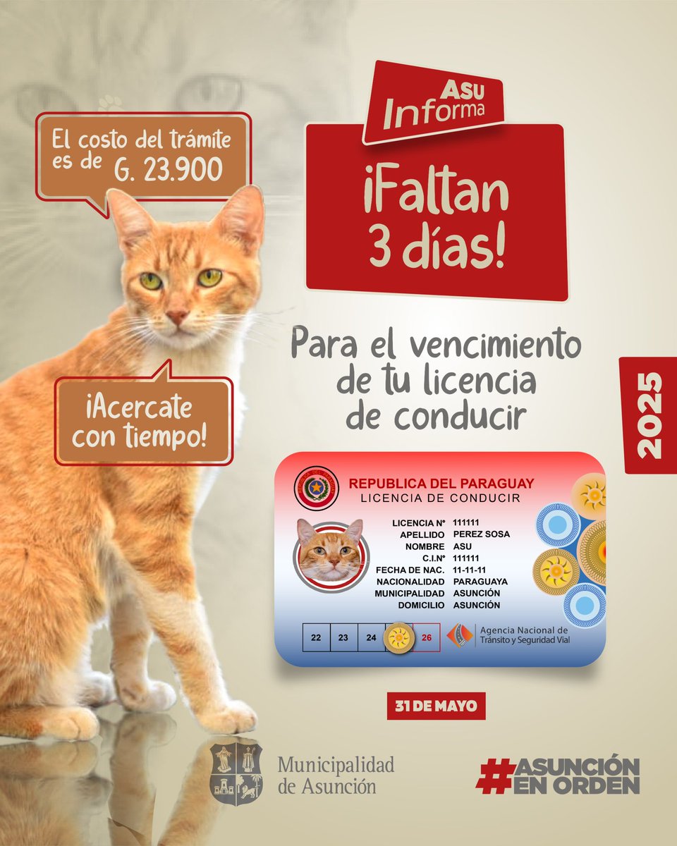 ¡𝗔𝘁𝗲𝗻𝗰𝗶ó𝗻 𝗰𝗼𝗻𝗱𝘂𝗰𝘁𝗼𝗿𝗲𝘀!
#AsuInforma 😸 que te queda poco tiempo para realizar la revalidación anual de tu licencia de conducir.
Si no podés acercarte hasta la Muni, podés hacerlo en: COARCO, IVESUR, Superseis de Carlos A. López, Stock del B° Obrero o el <a href="/CPJ_Asu/">Centro Paraguayo Japonés</a>.