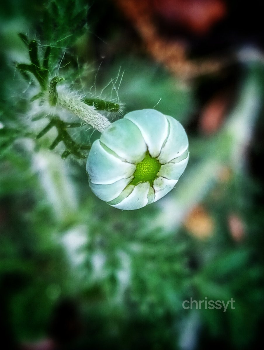 Avoir une bonne santé au réveil est la grande richesse que nous pouvons trouver dans la vie.....
Belle journée.....🙏✨🌺