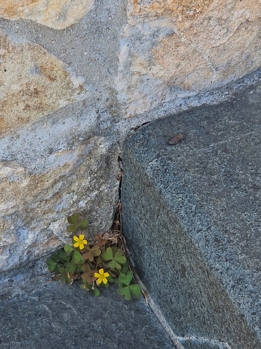 That was the day we first realized we didn’t fully

know our names, yours or mine, and we left quietly

amid the gray snow falling. Twilight had already set in.

Crossroads in the Past
John Ashbery