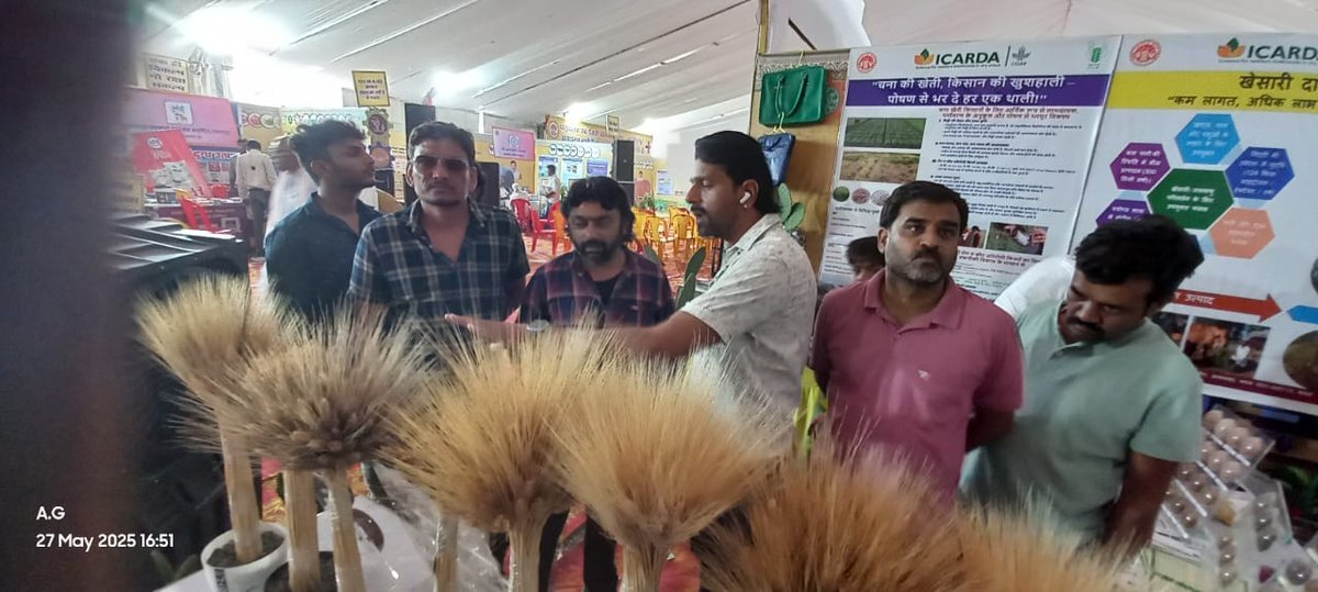 Dr. Neha Tiwari (@drnehatiwari4) on Twitter photo Inspiring energy Day 2! Youth and women farmers showed strong interest <a href="/ICARDA/">ICARDA</a>тАЩs cactus-based solutions, pulses, and cereals. Live demos and discussions saw enthusiastic participation <a href="/ShivKAgrawal/">Shiv Agrawal</a> <a href="/BaumBCI/">Michael Baum</a> <a href="/fillobax/">Filippo Bassi</a> <a href="/Amitdur/">Amit Gautam</a> <a href="/jitupatidar90/">Jitendra Patidar</a> <a href="/icarindia/">Indian Council of Agricultural Research.</a> <a href="/AgriGoI/">Agriculture INDIA</a> <a href="/DoLR_MoRD/">Department of Land Resources, GOI</a> #Cactus Inspiring energy Day 2! Youth and women farmers showed strong interest <a href="/ICARDA/">ICARDA</a>тАЩs cactus-based solutions, pulses, and cereals. Live demos and discussions saw enthusiastic participation <a href="/ShivKAgrawal/">Shiv Agrawal</a> <a href="/BaumBCI/">Michael Baum</a> <a href="/fillobax/">Filippo Bassi</a> <a href="/Amitdur/">Amit Gautam</a> <a href="/jitupatidar90/">Jitendra Patidar</a> <a href="/icarindia/">Indian Council of Agricultural Research.</a> <a href="/AgriGoI/">Agriculture INDIA</a> <a href="/DoLR_MoRD/">Department of Land Resources, GOI</a> #Cactus