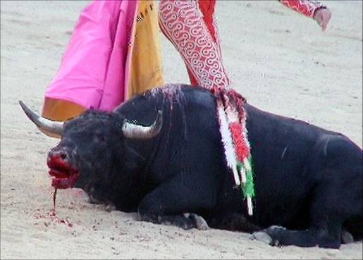 "PALCO INFANTIL" PARA VER TORTURA 😳

Esto es lo que han anunciado en #Salamanca y hace falta ser un auténtico sádico para invitar a niñ<a href="/s/">『S』</a> de 5 años a esta salvajada.

SÁDICOS. ENFERMOS.