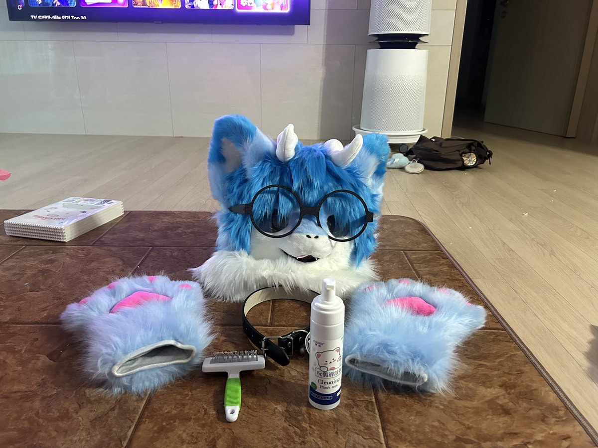 푸른 여우 | BlueF08 tweet media