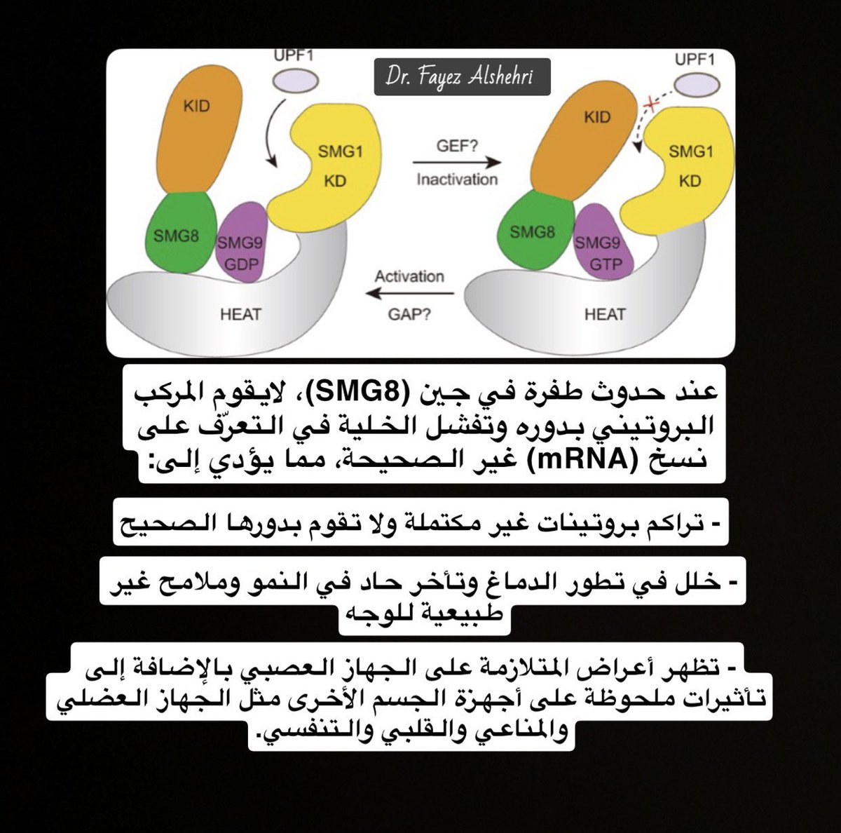 Dr_Fayez_sh's tweet photo. ماذا تعرف عن متلازمة الزهراني كواهارا (ALKUS) ؟..  وكيف تحدث ؟  اترككم مع الصور التالية 🧬🧬

#متلازمة #الزهراني #syndrome #معلومات #علم_الوراثة #genes #genetics #chromosomes #الكروموسومات #العلوم #biotech #كواهار https://t.co/VppN7VJxG0