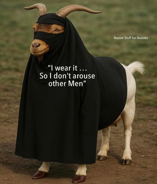 Imtiaz Mahmood (@imtiazmadmood) on Twitter photo 