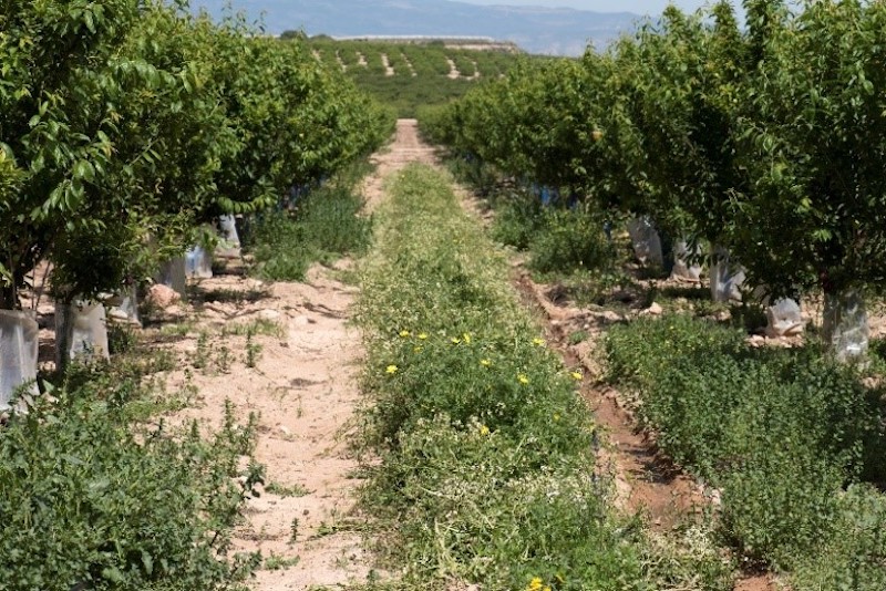 REVISTAFYH's tweet image. ¿Sabías que el número de #fincas #rústicas hipotecadas aumentó un 16,5 % hasta marzo?

Por su parte, el capital prestado creció un 22,3 % y el importe medio por hipoteca subió un 4,9 %. Aquí te damos más detalles: ⬇️⬇️⬇️

fyh.es/el-numero-de-f…