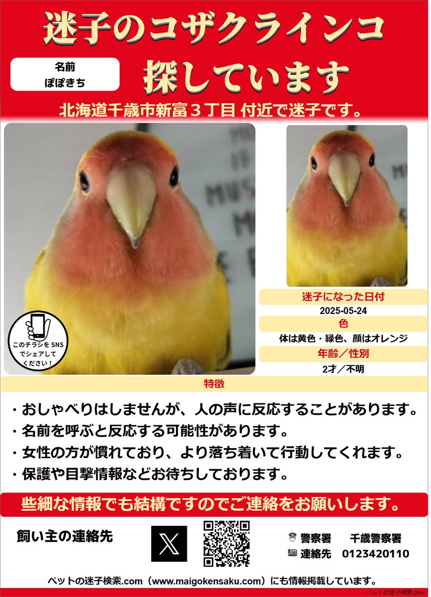 maigokensaku's tweet photo. 以下内容をSNSで拡散させていただきました。
https://t.co/e9i8Nh7DKD

勝手ではございますがチラシを作成させていただきました。
↓こちらのような感じでチラシを利用していただくと有効かと思います。
https://t.co/mZZtLX1H5t

#迷子 #鳥 #迷い鳥 #迷いインコ #北海道 #コザクラインコ https://t.co/J6gzVYT4An