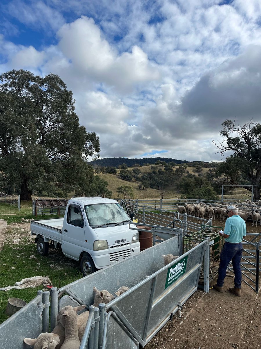 Tim Mort tweet media