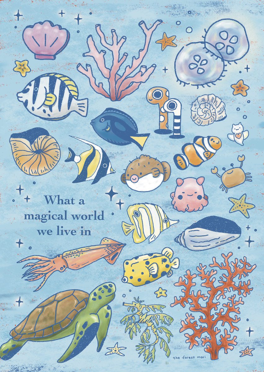 theforestmori's tweet image. 🦀🪸🐚🫧