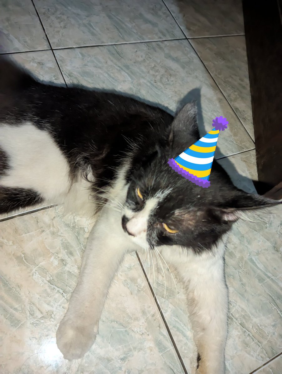 mpusku lagi hbd bes, ucapin dong