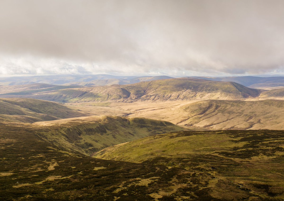 ScotGovNordic's tweet image. The Scottish Land Fund supports communities to buy land that matters to them, with grants of up to £1m from
@ScotGov.
In 2021/22, the Fund helped the local community to buy part of Langholm Moor to support nature conservation and sustainable tourism.
bit.ly/4ky6Bit