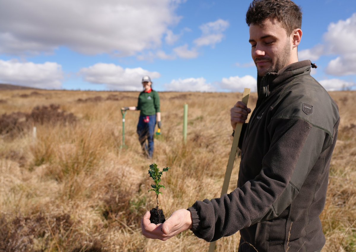 ScotGovNordic's tweet image. The Scottish Land Fund supports communities to buy land that matters to them, with grants of up to £1m from
@ScotGov.
In 2021/22, the Fund helped the local community to buy part of Langholm Moor to support nature conservation and sustainable tourism.
bit.ly/4ky6Bit