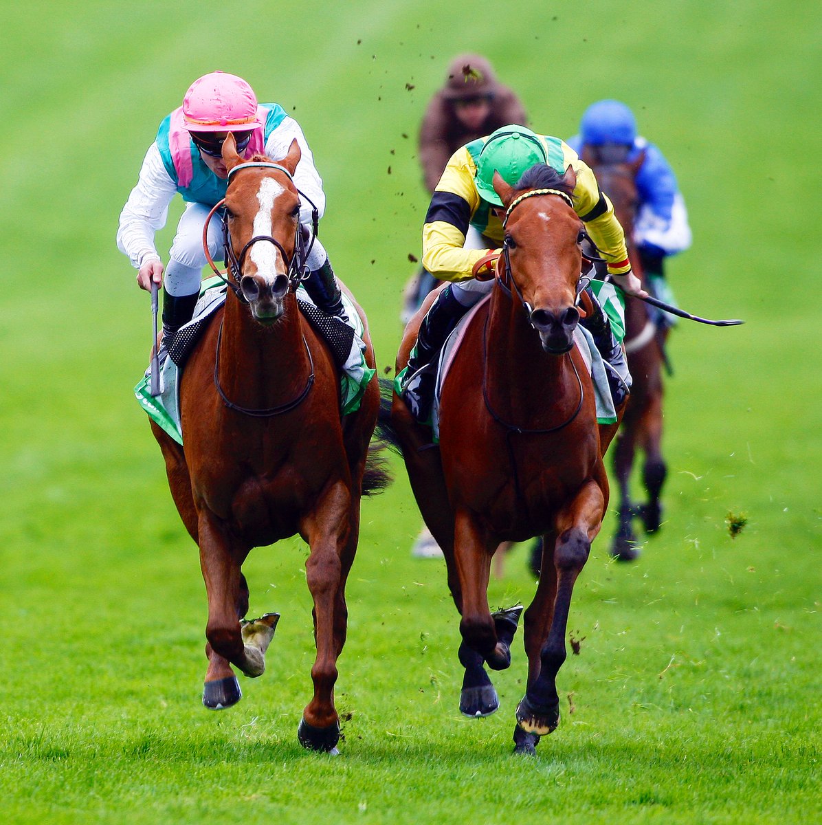 What a fantastic guest Honora Donworth is on the Weatherbys segment of the <a href="/nickluck/">Nick Luck</a> podcast today.
In a really lovely interview Nick chats to her just days after a hugely impressive victory for Field of Gold in the Irish 2000 Guineas.
The colt was bred by Honora and Bobby at