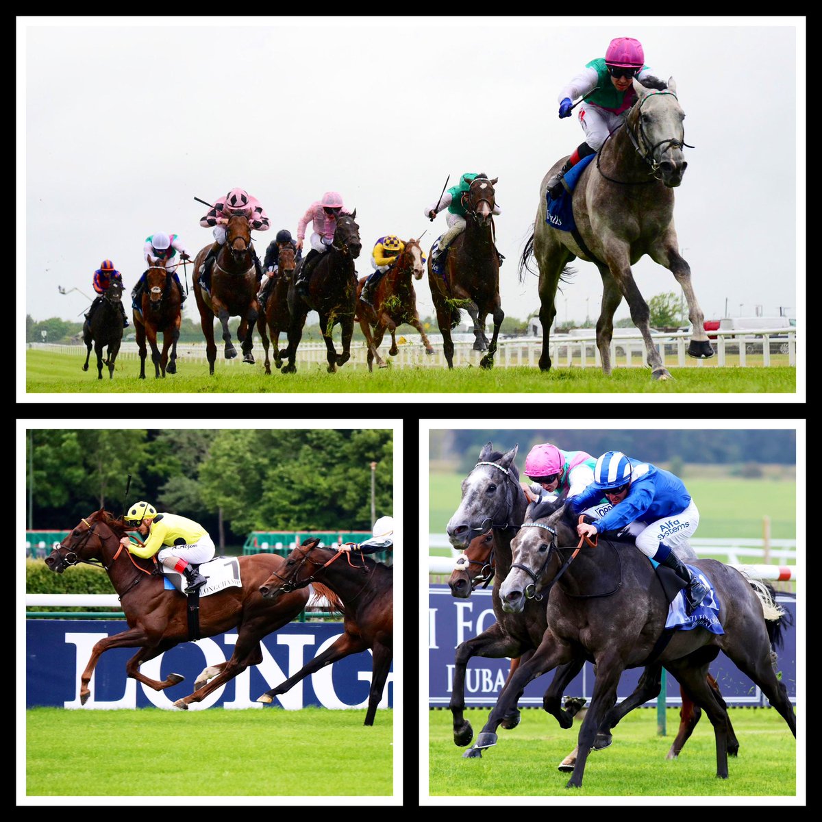 Weatherbys Limited tweet media