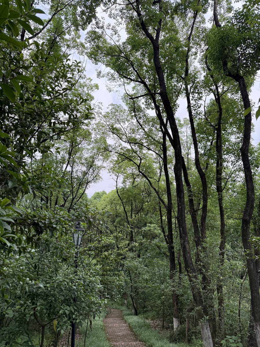 410315315's tweet photo. 今日的风景 https://t.co/KJB5Rw6uam
