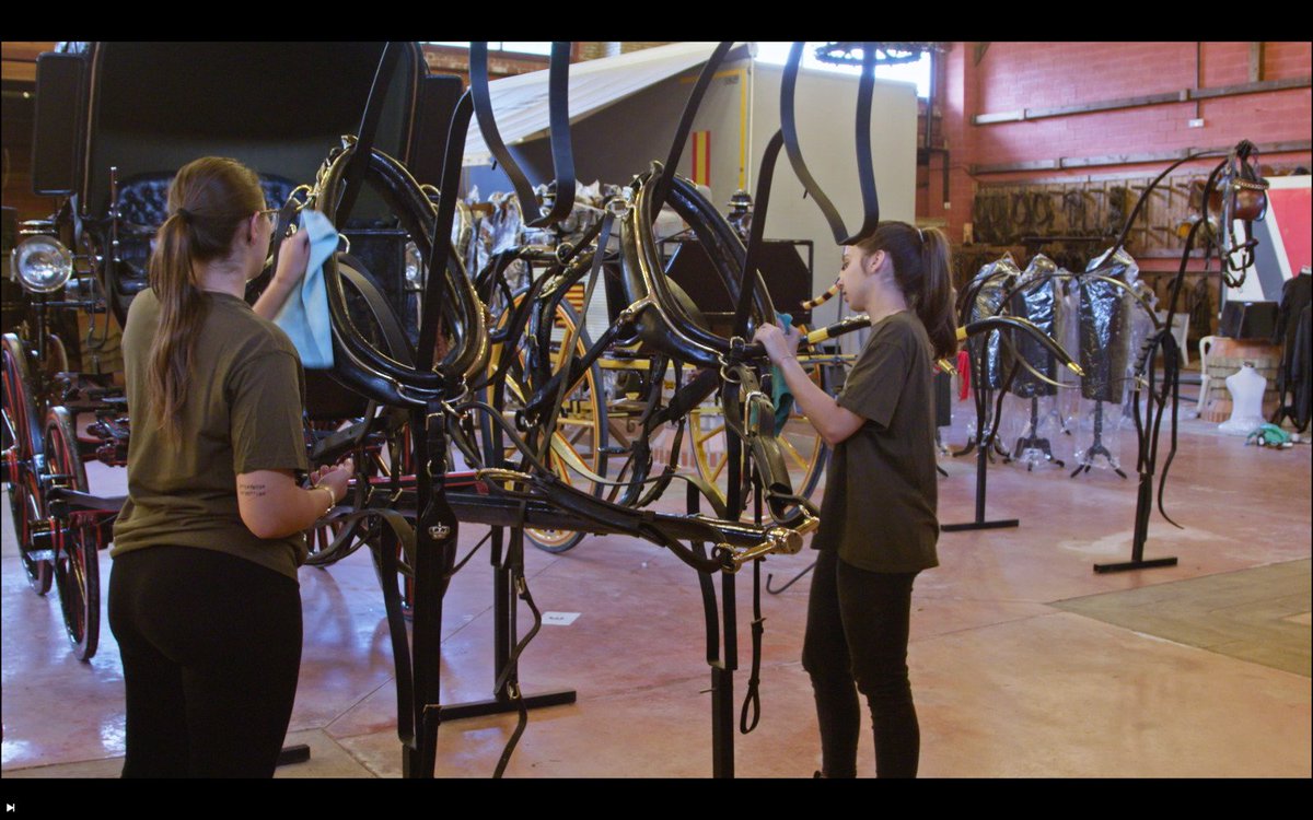 Empleados Canal Sur Televisión tweet media