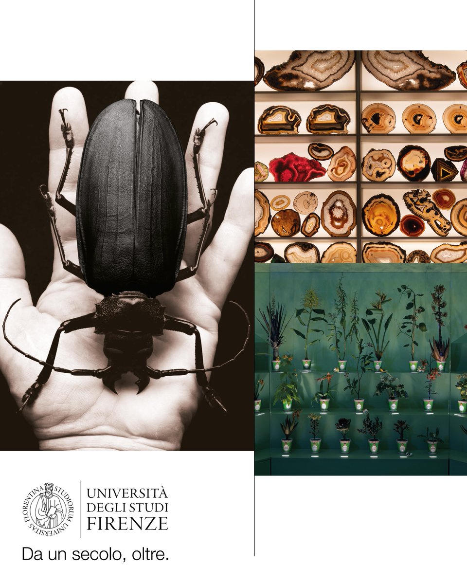 #5XMILLE | IL TUO CONTRIBUTO ALLA GRANDE STORIA NATURALE
Dalla riapertura La Specola ha visto oltre 90mila visitatori, ma c'è ancora bisogno del tuo sostegno. Con il #5xmille a #Unifi puoi contribuire a valorizzare il museo scientifico più antico d'Europa
u.garr.it/QGMDI
