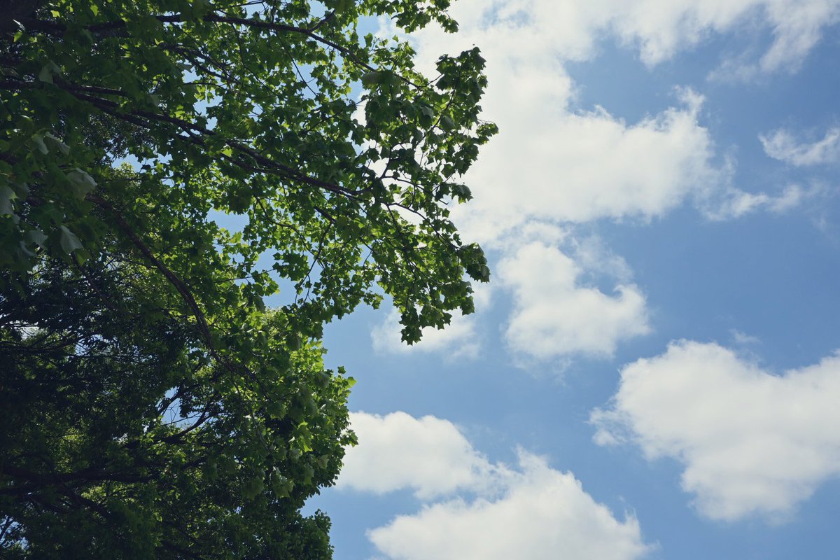 お散歩。
#写真好きな人と繋がりたい