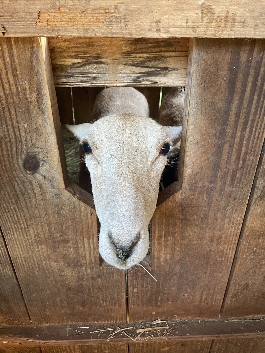 Gm from me and my neighbor ☀️