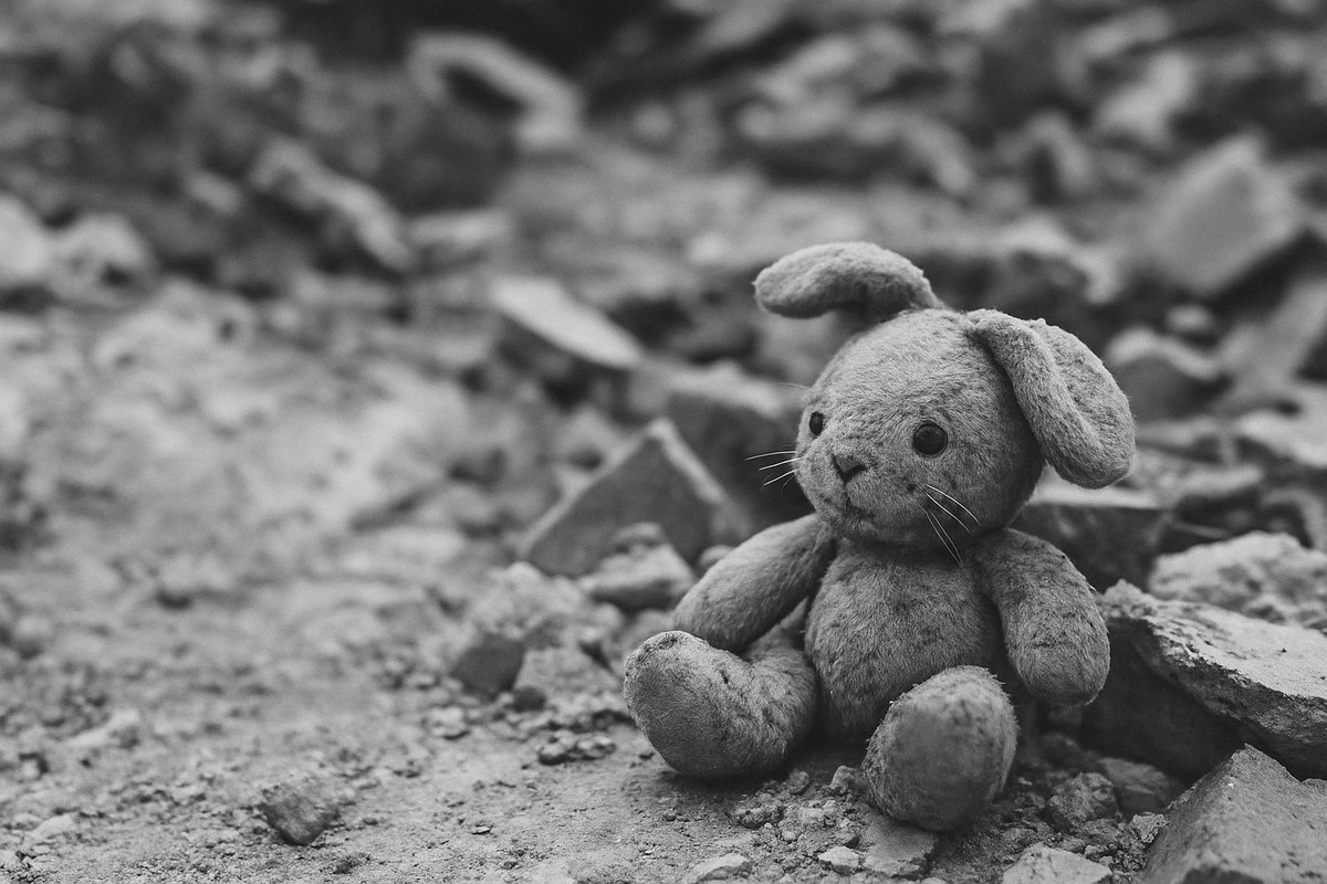 Questo è un urlo nell’abisso.  linkedin.com/posts/bernardi…