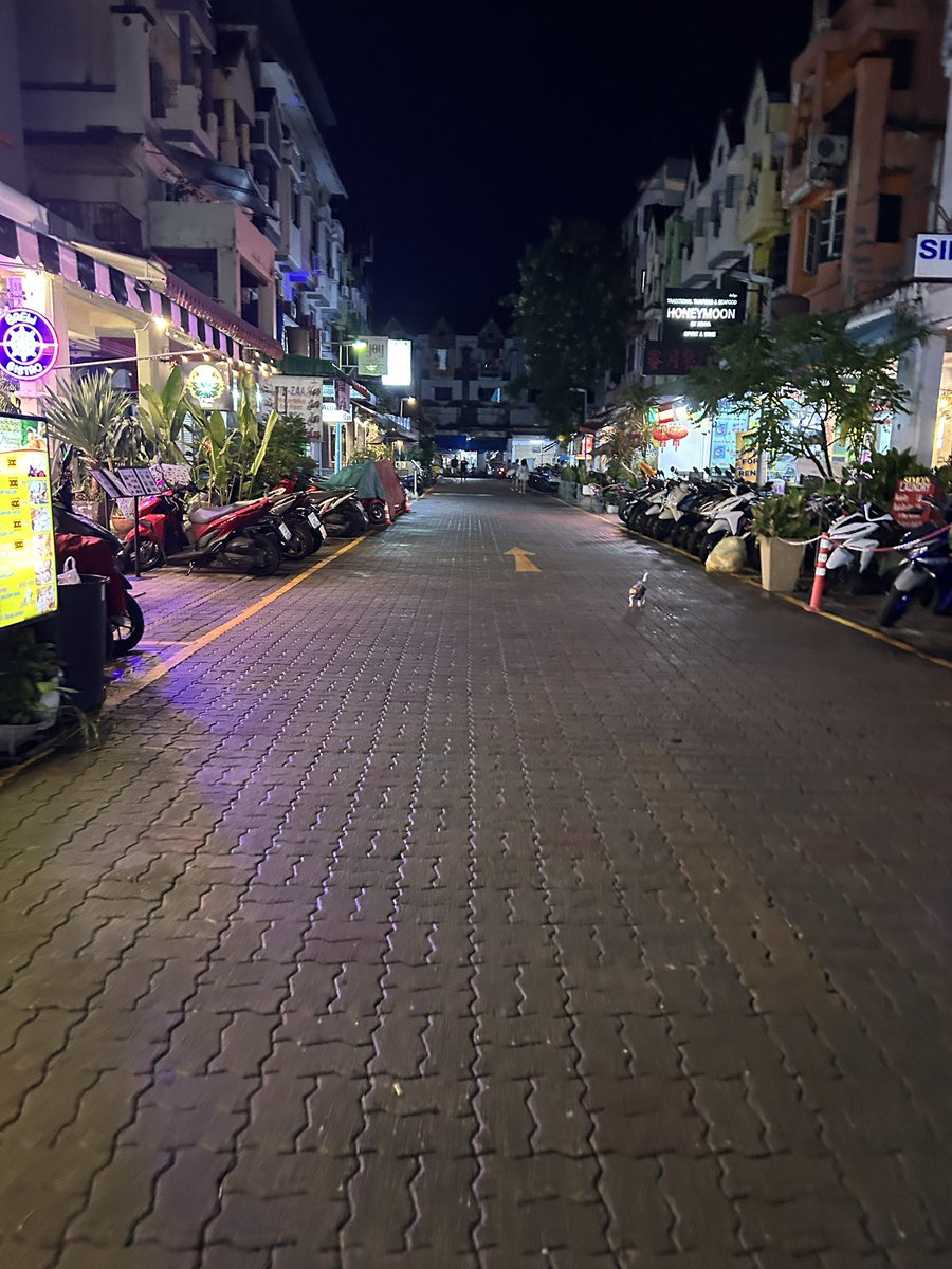 タイ行ってた。いまから頑張ります