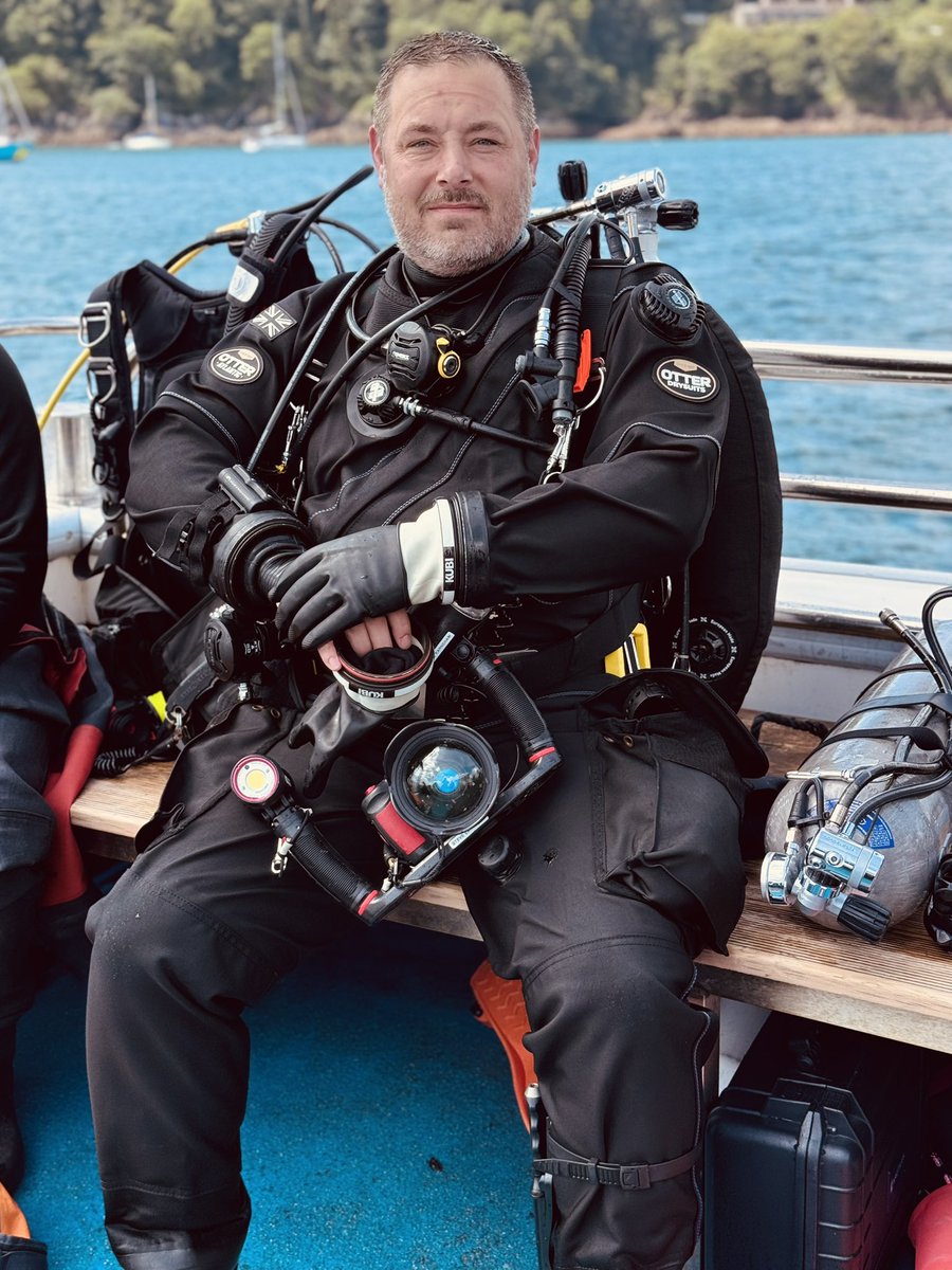 SEPE Diving tweet media