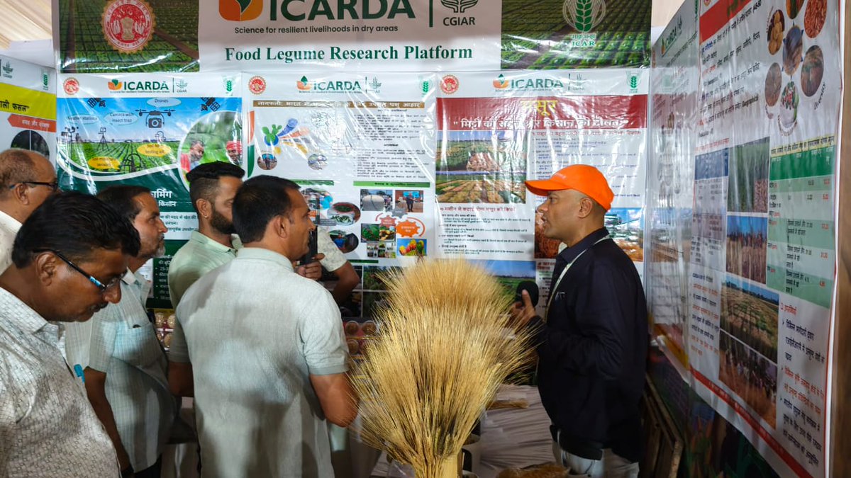 Dr. Neha Tiwari (@drnehatiwari4) on Twitter photo On Day 2 of Krishi Udyog Samagam, media personnel engaged actively <a href="/ICARDA/">ICARDA</a>’s demonstrations on cactus, pulses, and cereals. A video clip showcasing ICARDA’s work was also presented, enhancing awareness and knowledge among visitors.
<a href="/ShivKAgrawal/">Shiv Agrawal</a> <a href="/BaumBCI/">Michael Baum</a> <a href="/Amitdur/">Amit Gautam</a> <a href="/jitupatidar90/">Jitendra Patidar</a> On Day 2 of Krishi Udyog Samagam, media personnel engaged actively <a href="/ICARDA/">ICARDA</a>’s demonstrations on cactus, pulses, and cereals. A video clip showcasing ICARDA’s work was also presented, enhancing awareness and knowledge among visitors.
<a href="/ShivKAgrawal/">Shiv Agrawal</a> <a href="/BaumBCI/">Michael Baum</a> <a href="/Amitdur/">Amit Gautam</a> <a href="/jitupatidar90/">Jitendra Patidar</a>