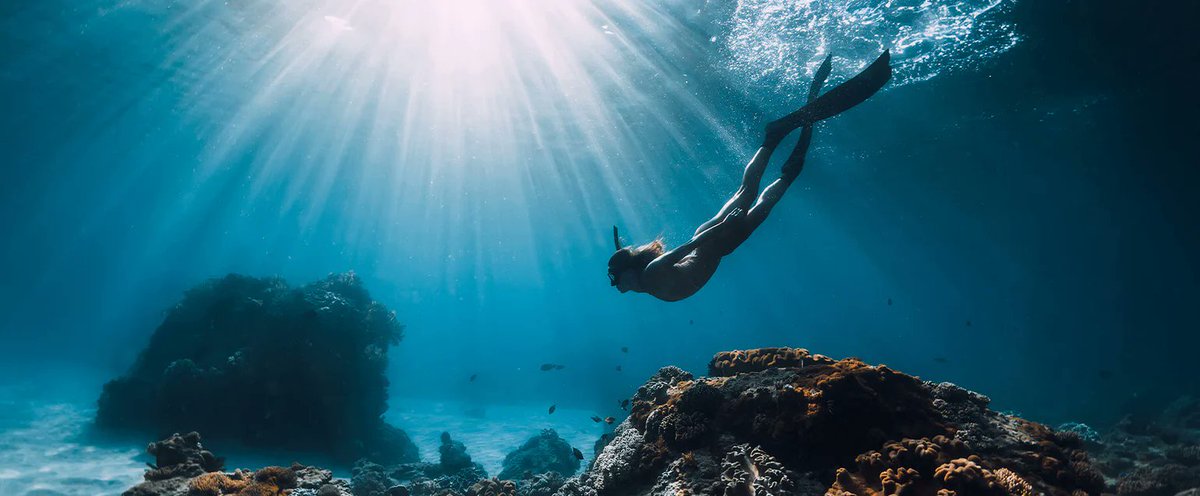 Take a look at the diving masks with corrective prescription lenses 😀

 #DivingMasks #SnorkelingGear #UnderwaterVision #MarineAdventure #ClearVision #OceanLovers #DiveWithStyle

prescription-swimming-goggles.co.uk/collections/di…