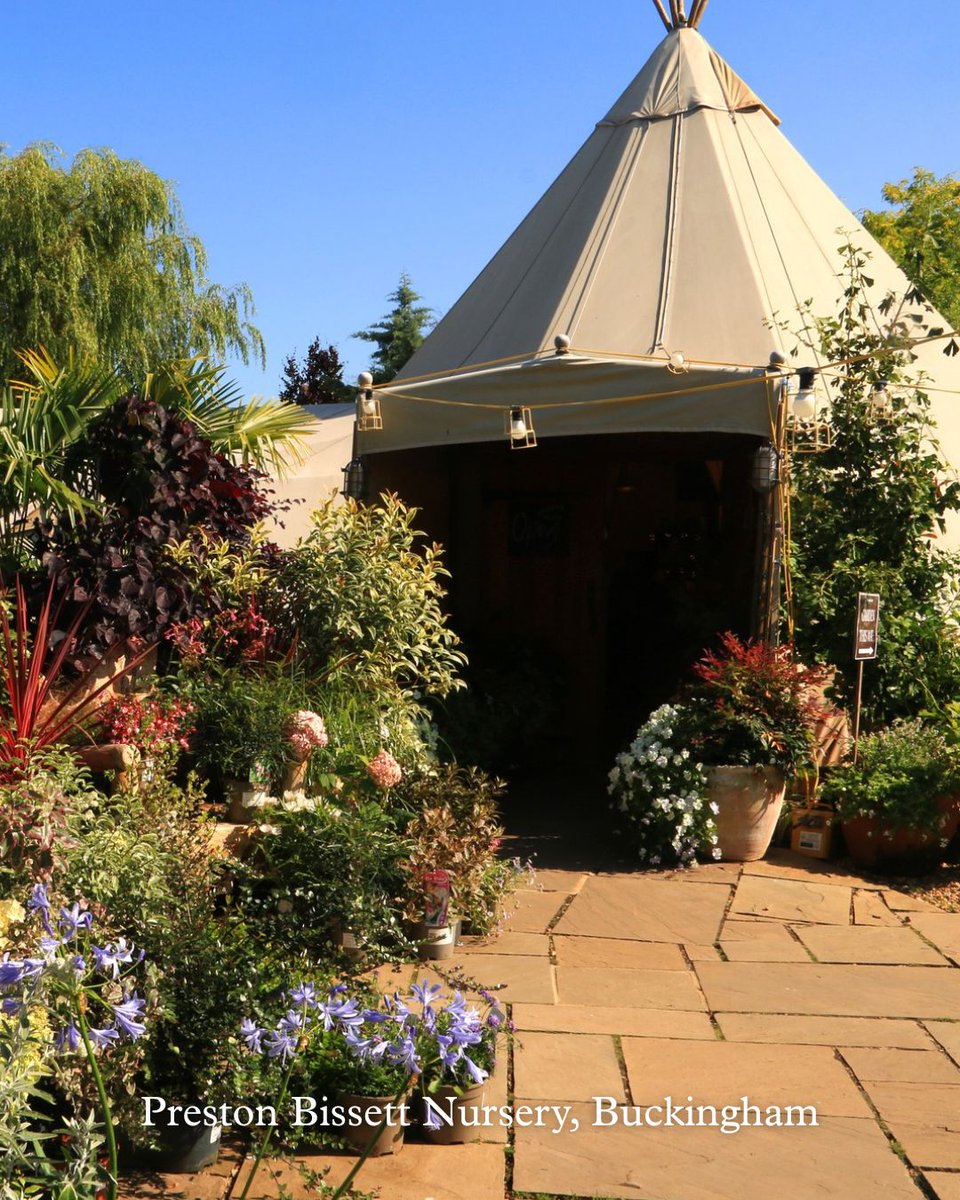 Garden looking a bit sad? 😢

It’s never too late to give it the love it deserves 💖

Our ultimate list of over 50 of the best places to buy plants, outdoor art and more across all the Muddy counties ⬇️

Read the full list 👀💐 bit.ly/3Hcq2yl

#gardens #gardening #flower