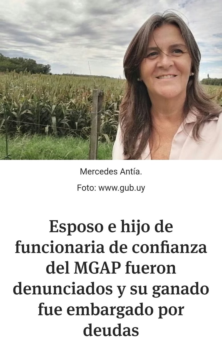 BuchelliPablo's tweet image. No te olvides de poner la mirada también en las vaquitas de la gente de San José...