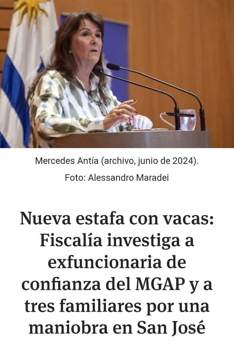 BuchelliPablo's tweet image. No te olvides de poner la mirada también en las vaquitas de la gente de San José...