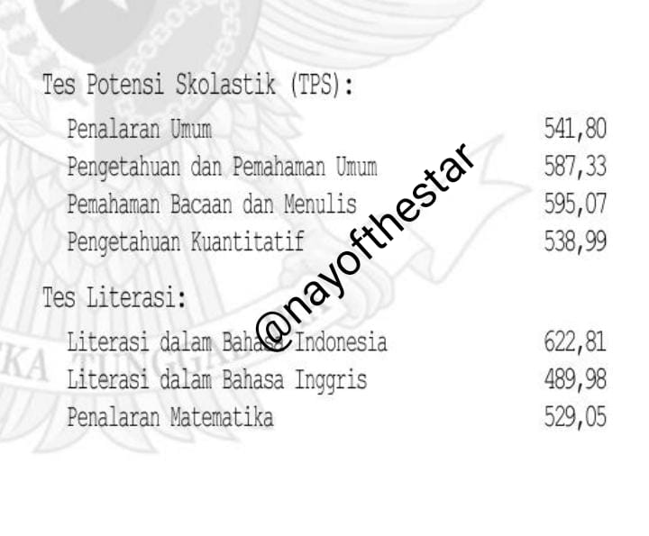 shafa²⁵ tweet media