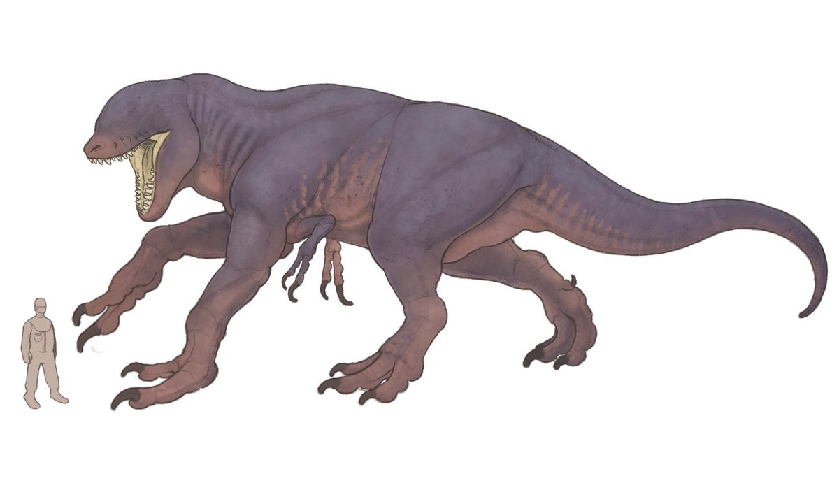 DISTORTUS REX.