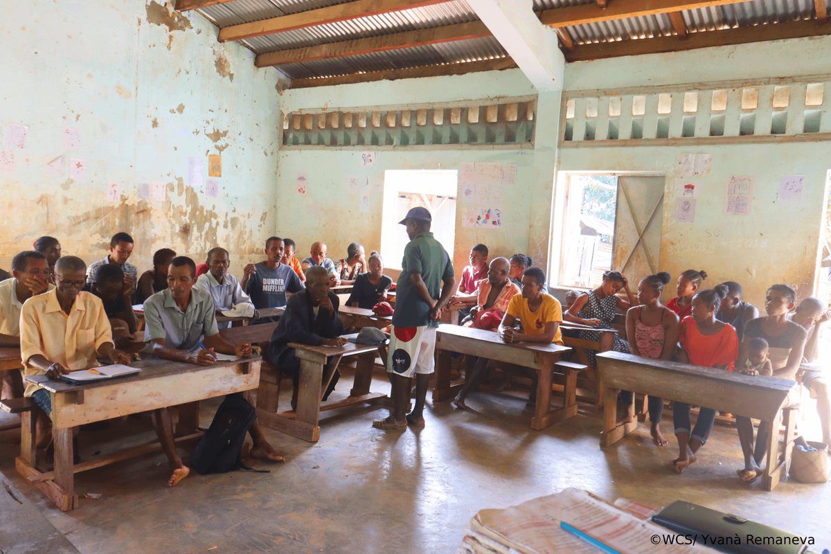 WCS_Mada's tweet image. Progress in action !
WCS and COBA platform leaders visited a section of the 17 COBAs to share the platformβs vision and co-create solutions for sustainable, inclusive resource management. Our team continues discussions with the remaining COBAs.
#LocalGovernance #PlatformCOBA