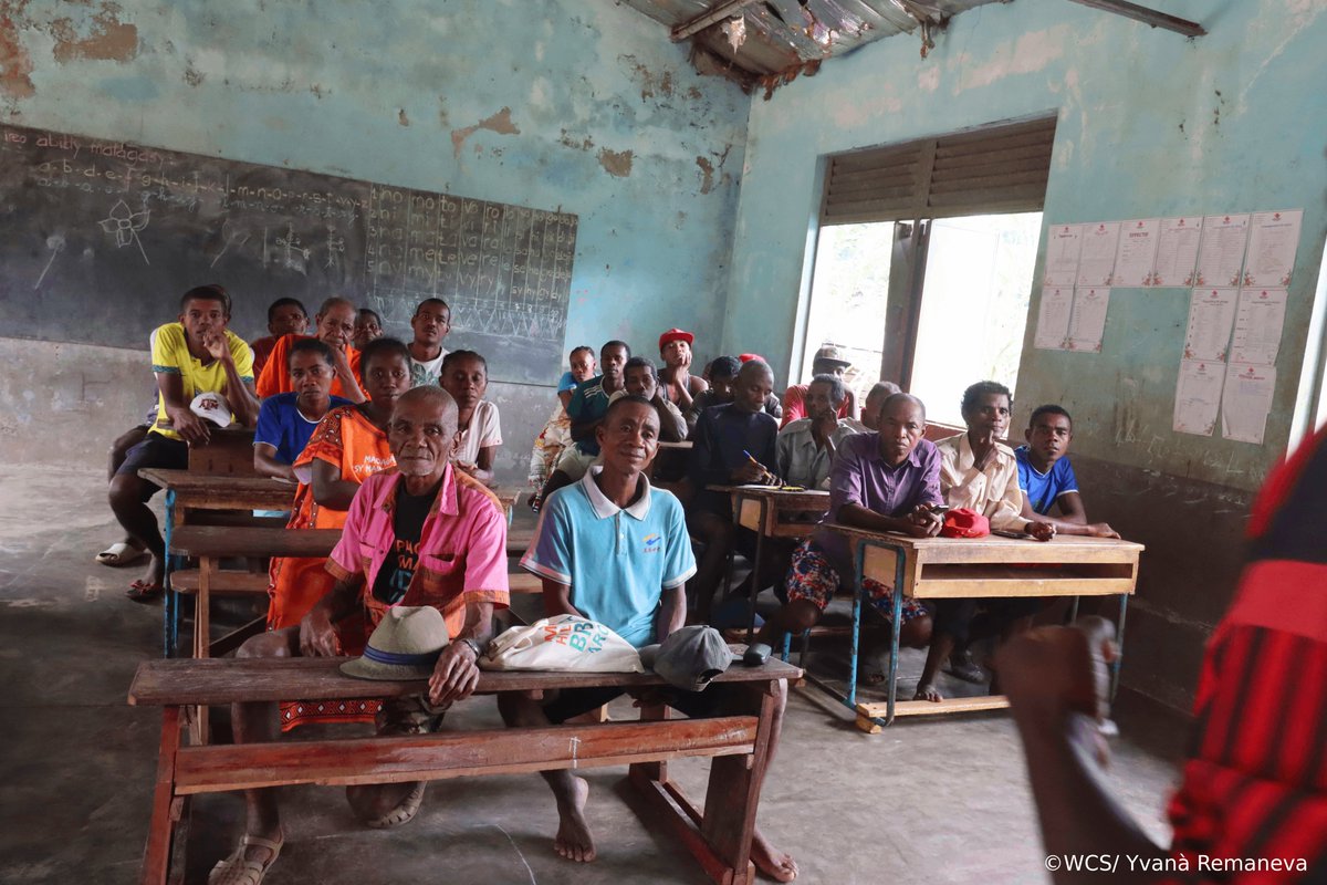 WCS_Mada's tweet image. Progress in action !
WCS and COBA platform leaders visited a section of the 17 COBAs to share the platformβs vision and co-create solutions for sustainable, inclusive resource management. Our team continues discussions with the remaining COBAs.
#LocalGovernance #PlatformCOBA