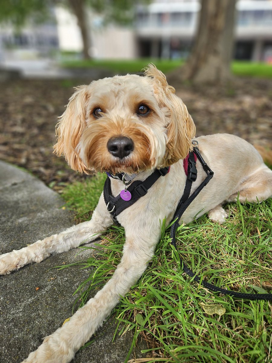 Love spending time with this one before a nightshift....now hoping we both get an afternoon nap!