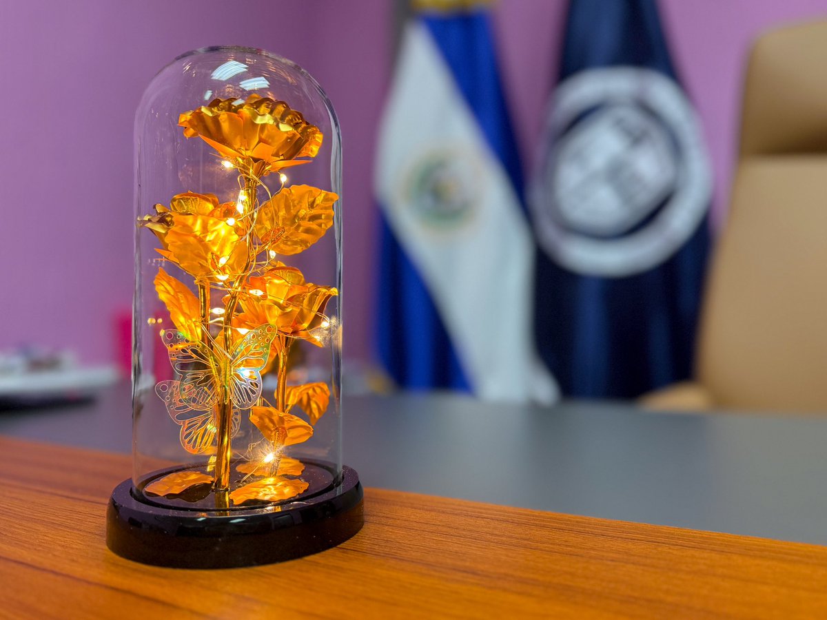✨ ¡Buenos días!✨

Ayer recibí este hermoso detalle de parte del Centro Escolar Cantón El Zacamil, y hoy ilumina mi oficina con la misma calidez con la que ustedes iluminan mi camino todos los días.

Gracias por tanto cariño. Un gesto con amor tiene más luz que mil palabras. 🧡